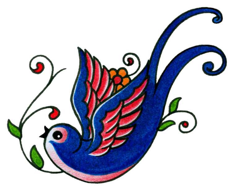 swallowblueredbelly