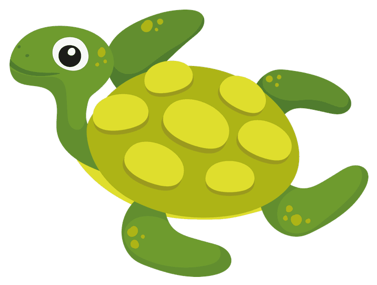 Turtle 2