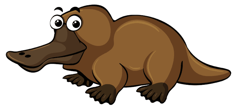 Adam Platypus