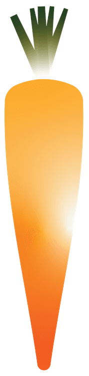 Carrot Style 2