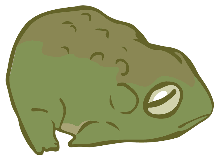 Clumsy Frog