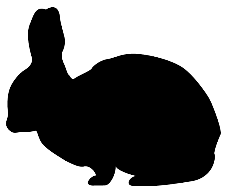 rabbit